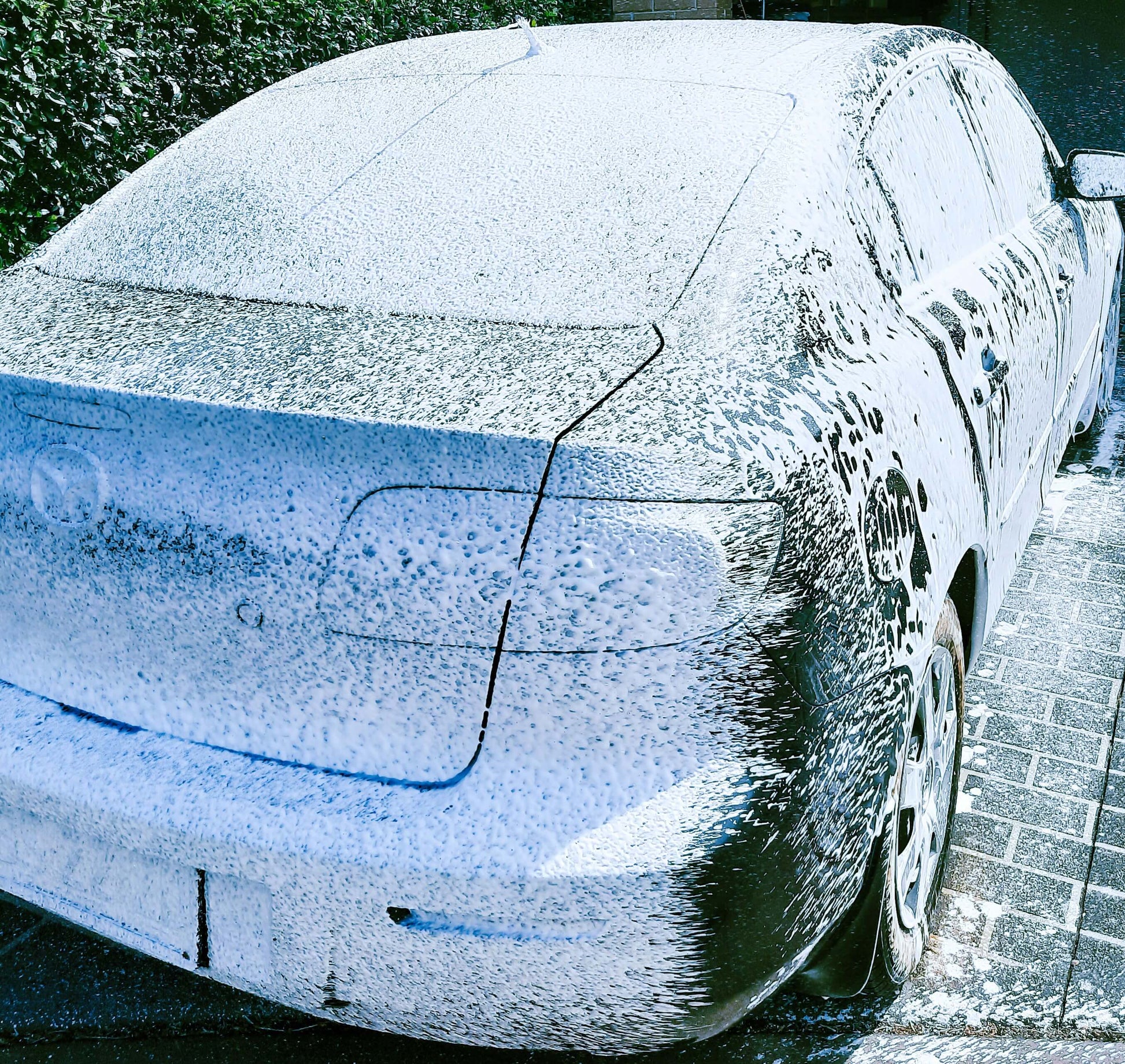 SNOW WASH pH Neutral Car Wash-Vehicle Carpet & Upholstery Cleaners-Cutting Edge Chemicals 